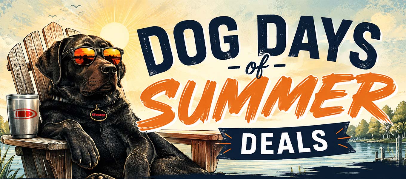 Promo Banner